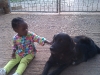 Eden playing with Tusker, an IU House Dog