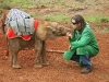 elephant and care taker