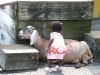 Eden petting the goat